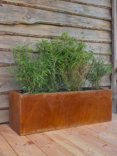 Multi edge flora - multi-edge,