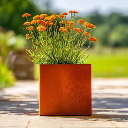 Corten steel cube - corten, with